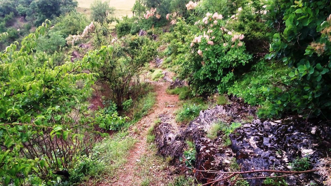 Una Canyon Paradise Bihać Eksteriør bilde