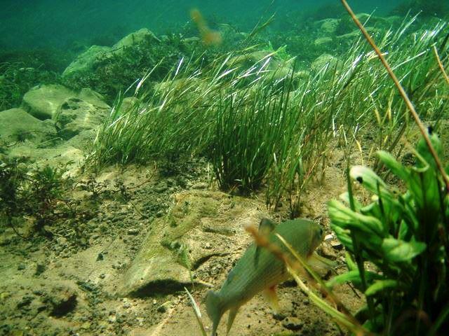 Una Canyon Paradise Bihać Eksteriør bilde