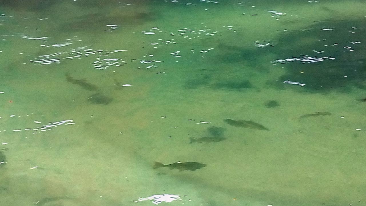 Una Canyon Paradise Bihać Eksteriør bilde