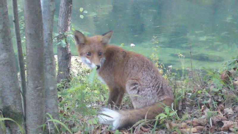 Una Canyon Paradise Bihać Eksteriør bilde