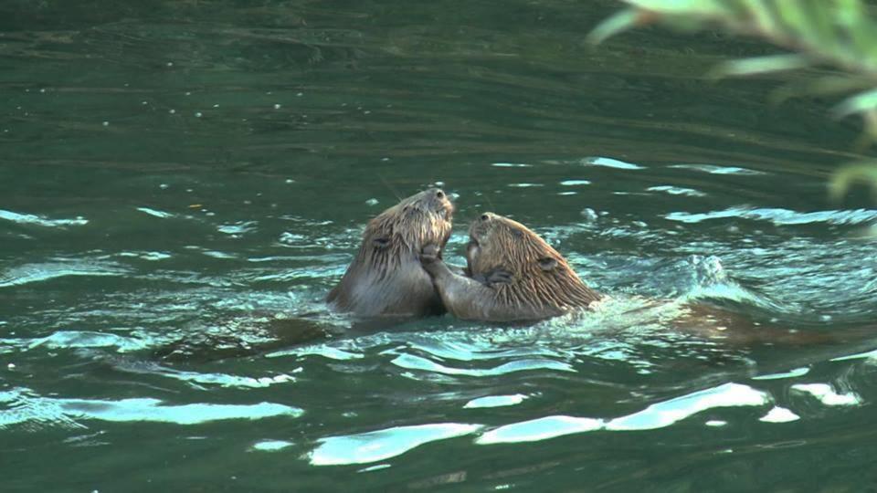 Una Canyon Paradise Bihać Eksteriør bilde